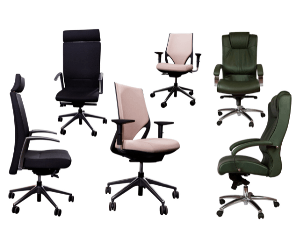 India Ergo Office Ergonomics6